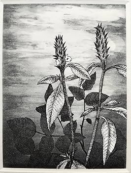 DAIDOMORIYAMATHECOMPLETEWORKS直筆サイン8/28まで 直筆サイン本 英田サキ/高階佑 DEADLOCK 1 NB-3983